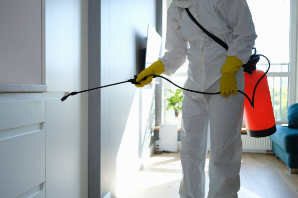 Best HVAC Mold Remediation in Covington, WA