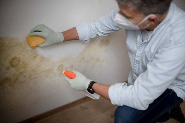 Mold Remediation for Historic Buildings